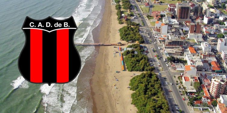 Actualidad del Plantel Profesional