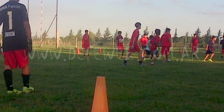 Pretemporada Cardales