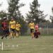 Defe 1 - Comu 0: Fecha 12 - 2017