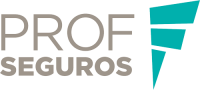 Prof Seguros