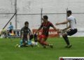 Defe 2 - Brown (PM) 0